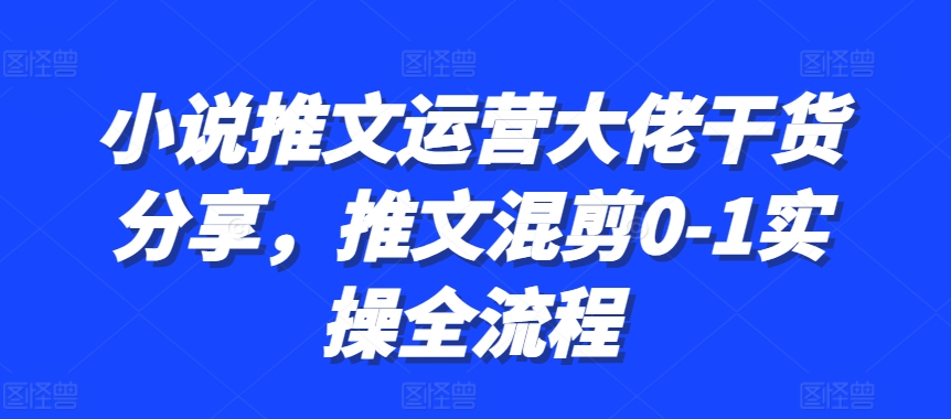 小说推文运营大佬干货分享，推文混剪0-1实操全流程 - 小毅网创-小毅网创