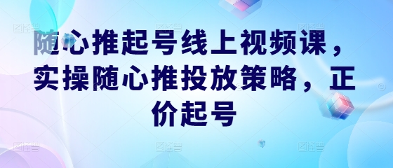随心推起号线上视频课，实操随心推投放策略，正价起号 - 小毅网创-小毅网创