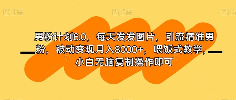男粉计划6.0，每天发发图片，引流精准男粉，被动变现月入8000+，喂饭式教学，小白无脑复制操作即可 - 小毅网创-小毅网创