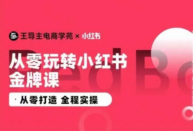 王导主·小红书电商运营实操课，​从零打造  全程实操 - 小毅网创-小毅网创