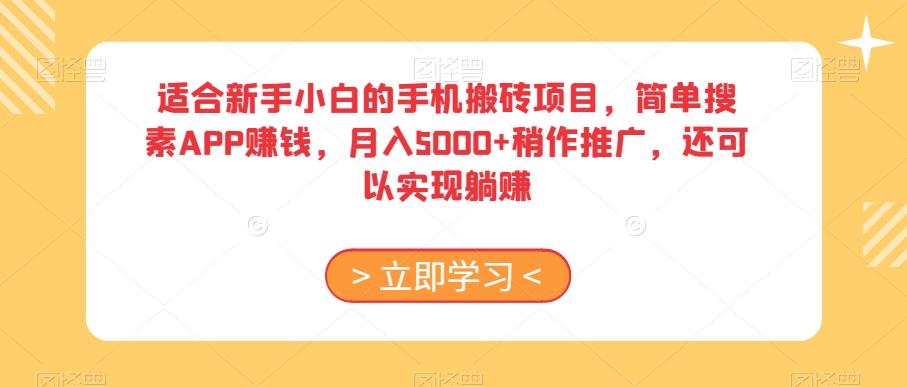 适合新手小白的手机搬砖项目，简单搜素APP赚钱，月入5000+稍作推广，还可以实现躺赚【揭秘】-小毅网创