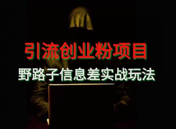 【引流创业粉】野路子信息差玩法实战教学 - 小毅网创-小毅网创