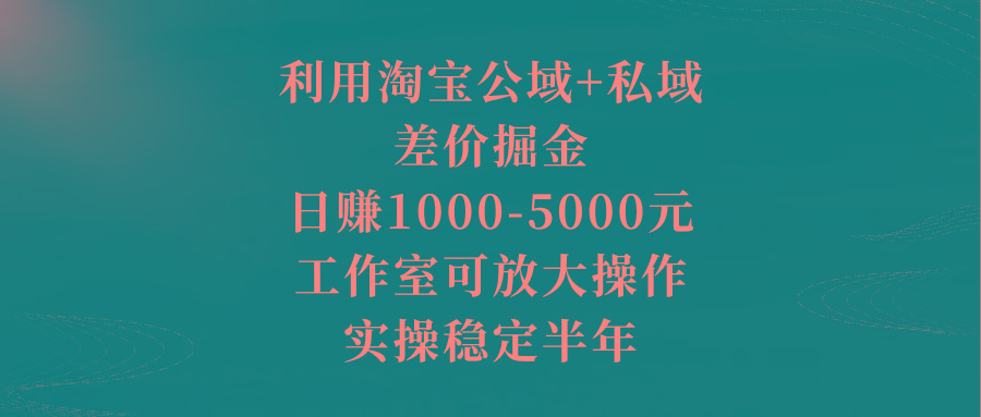 利用淘宝公域+私域差价掘金，日赚1000-5000元，工作室可放大操作，实操... - 小毅网创-小毅网创
