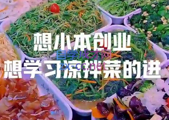 李记·精品凉拌菜系列热卤系列教程-小毅网创