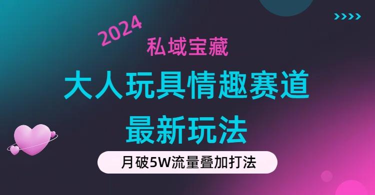 私域宝藏：大人玩具情趣赛道合规新玩法，零投入，私域超高流量成单率高 - 小毅网创-小毅网创