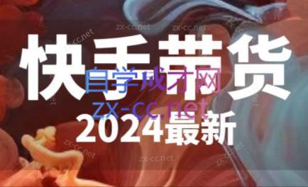 快手带货(2024最新)-小毅网创