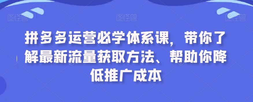 拼多多运营必学体系课，带你了解最新流量获取方法、帮助你降低推广成本 - 小毅网创-小毅网创