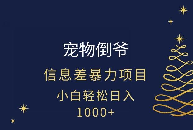 宠物倒爷，暴利的信息差项目，足不出户就有客户，年轻人都喜欢宠物！ - 小毅网创-小毅网创