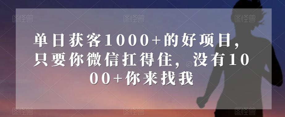 单日获客1000+的好项目，只要你微信扛得住，没有1000+你来找我【揭秘】 - 小毅网创-小毅网创