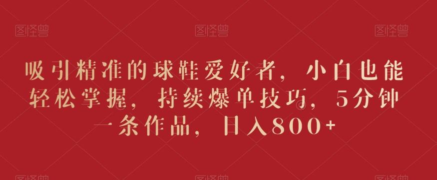 吸引精准的球鞋爱好者，小白也能轻松掌握，持续爆单技巧，5分钟一条作品，日入800+【揭秘】 - 小毅网创-小毅网创