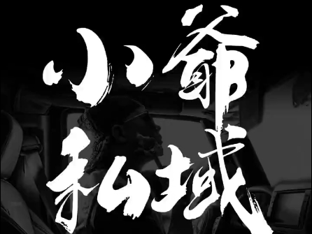 小爷·私域项目操盘手-小毅网创