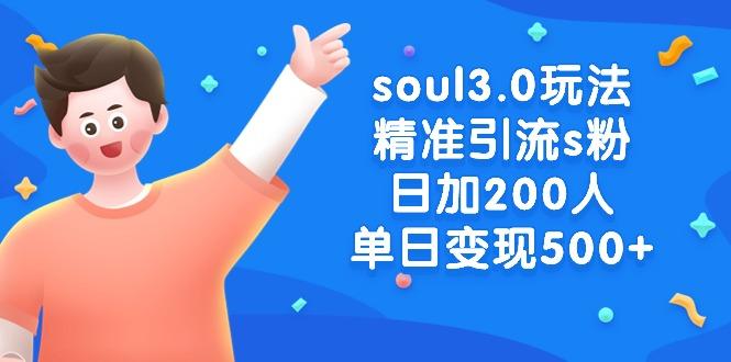 soul3.0玩法精准引流s粉，日加200人单日变现500+ - 小毅网创-小毅网创