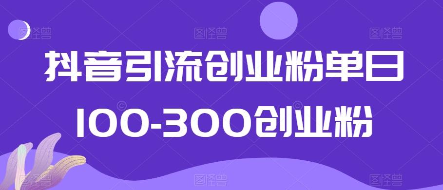 抖音引流创业粉单日100-300创业粉【揭秘】 - 小毅网创-小毅网创
