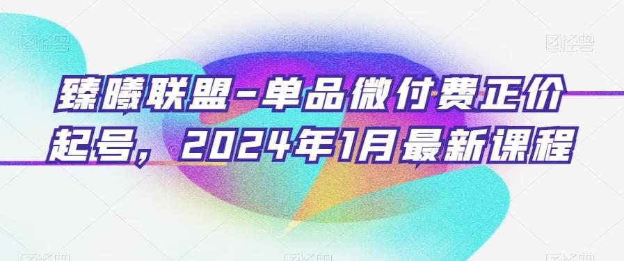 臻曦联盟-单品微付费正价起号，2024年1月最新课程 - 小毅网创-小毅网创