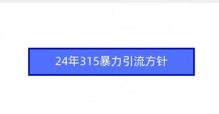 24年315暴力引流方针 - 小毅网创-小毅网创