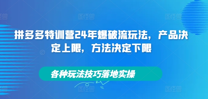 拼多多特训营24年爆破流玩法，产品决定上限，方法决定下限，各种玩法技巧落地实操 - 小毅网创-小毅网创
