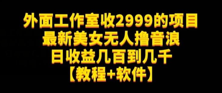 外面工作室收2999的项目最新美女无人撸音浪日收益几百到几千【教程+软件】（仅揭秘）-小毅网创