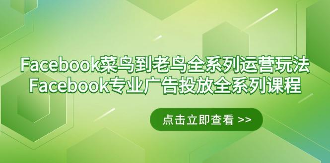 Facebook-菜鸟到老鸟全系列运营玩法+Facebook-专业广告投放全系列课程 - 小毅网创-小毅网创
