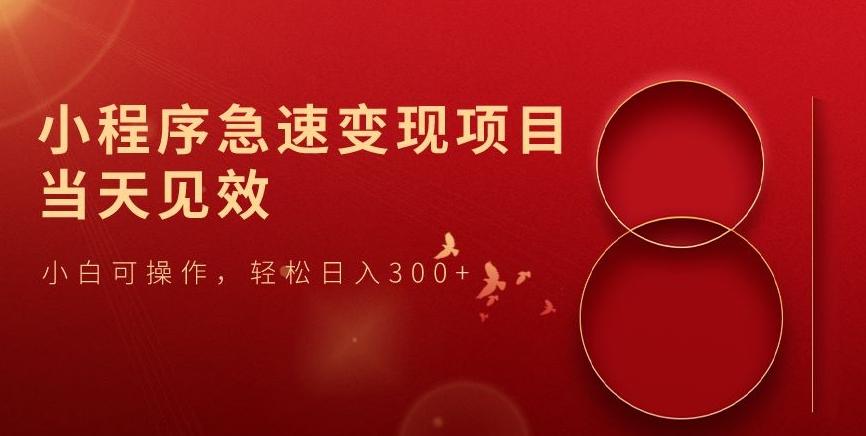 小程序急速变现项目，当天见效，小白可操作，轻松日入300+ - 小毅网创-小毅网创