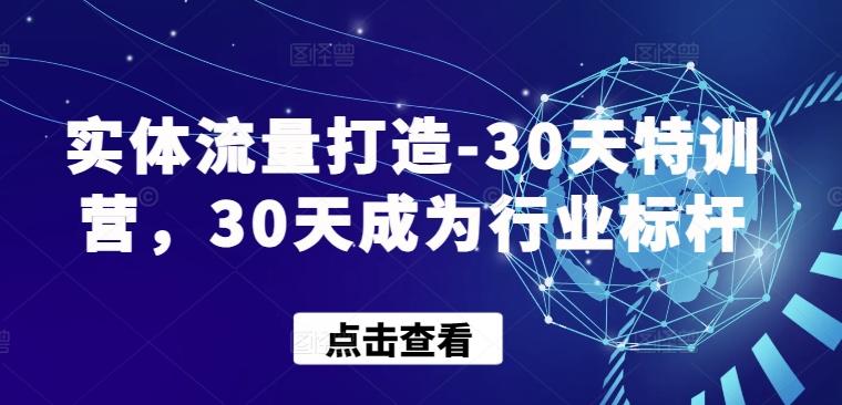 实体流量打造-30天特训营，30天成为行业标杆 - 小毅网创-小毅网创