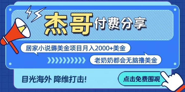 拆解海外撸美金项目月入2000美刀详细指导-小毅网创