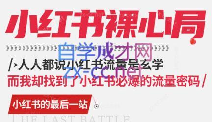 月月老师·小红书低粉高变现课-小毅网创