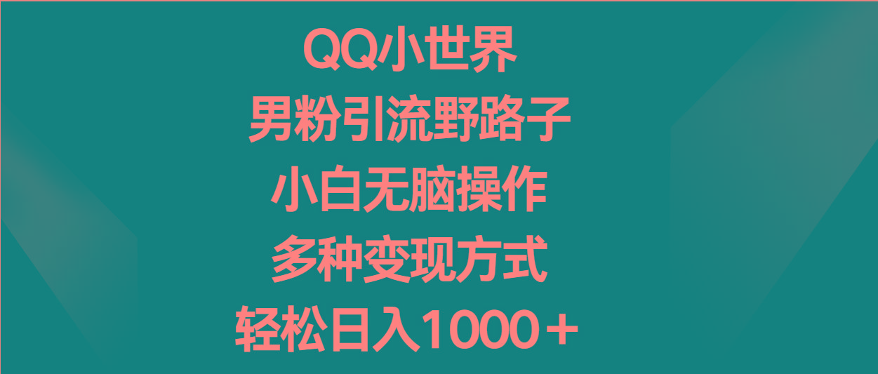 QQ小世界男粉引流野路子，小白无脑操作，多种变现方式轻松日入1000＋-小毅网创
