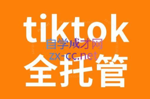 TikTok跨境电商全托管运营模式精品课-小毅网创