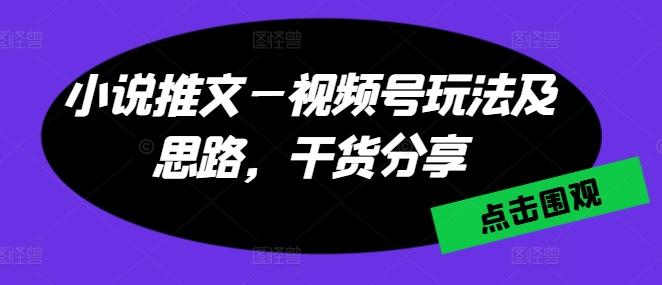 小说推文—视频号玩法及思路，干货分享 - 小毅网创-小毅网创
