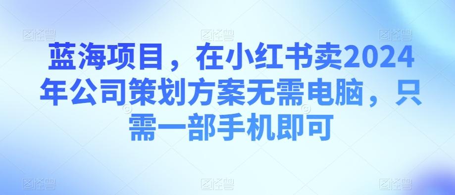 蓝海项目，在小红书卖2024年公司策划方案无需电脑，只需一部手机即可 - 小毅网创-小毅网创