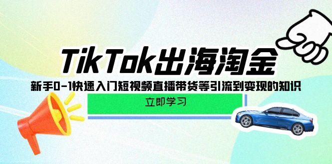 (10035期)TikTok-出海淘金，新手0-1快速入门短视频直播带货等引流到变现的知识-小毅网创
