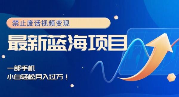 最新蓝海项目，靠禁止废话视频变现，一部手机，小白轻松月入过万！ - 小毅网创-小毅网创