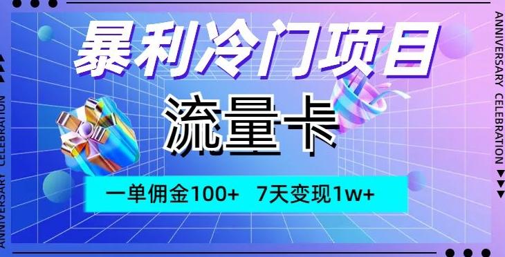 暴利冷门项目，流量卡，一单佣金100+，7天变现1w+ - 小毅网创-小毅网创