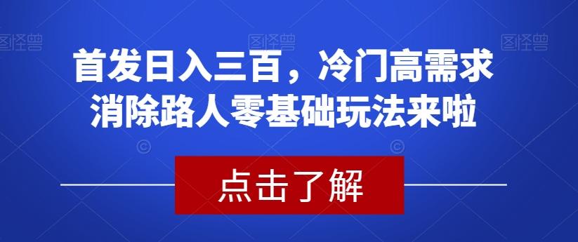 首发日入三百，冷门高需求消除路人零基础玩法来啦【揭秘】-小毅网创