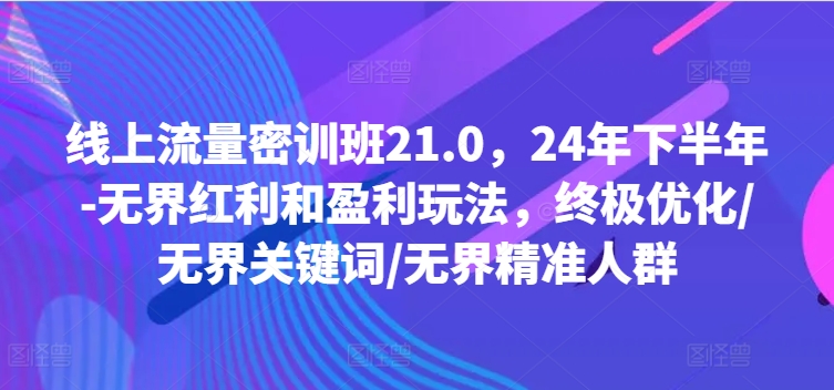 线上流量密训班21.0，24年下半年-无界红利和盈利玩法，终极优化/无界关键词/无界精准人群-小毅网创