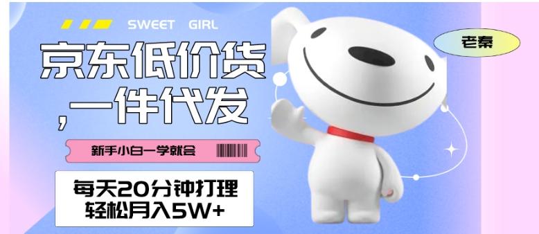 每天20分钟打理京东低价货，一件代发-轻松月入5W＋ - 小毅网创-小毅网创