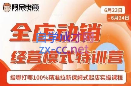 阿呆电商·全店动销经营模式特训营(线下录音+思维导图)-小毅网创