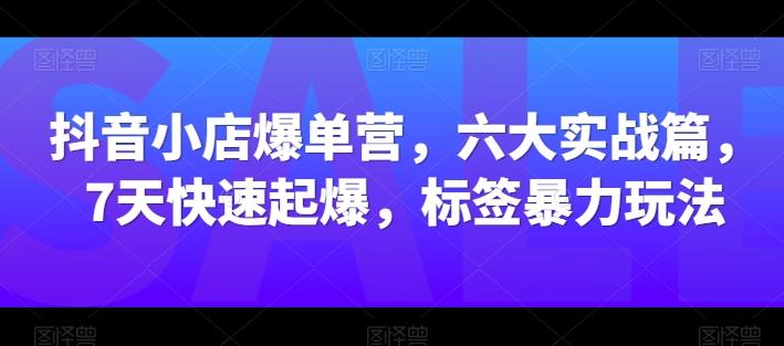 抖音小店爆单营，六大实战篇，7天快速起爆，标签暴力玩法-小毅网创