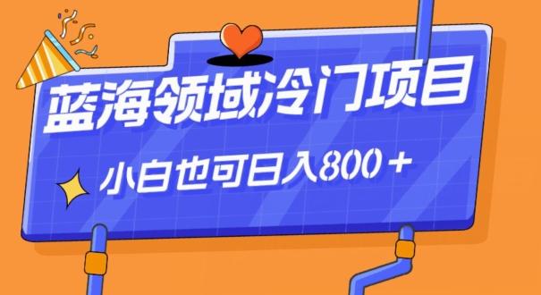 蓝海领域冷门赛道，一单39.9，日入800＋ - 小毅网创-小毅网创