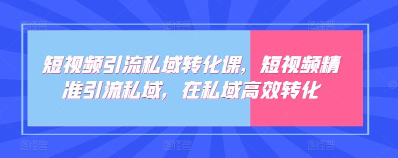 短视频引流私域转化课，短视频精准引流私域，在私域高效转化-小毅网创