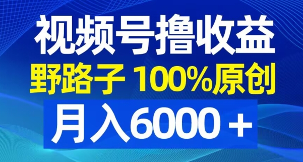 视频号野路子撸收益，100%原创，条条爆款，月入6000＋【揭秘】 - 小毅网创-小毅网创