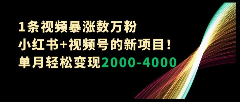 1条视频暴涨数万粉-小红书+视频号的新项目！单月轻松变现2000-4000【揭秘】 - 小毅网创-小毅网创