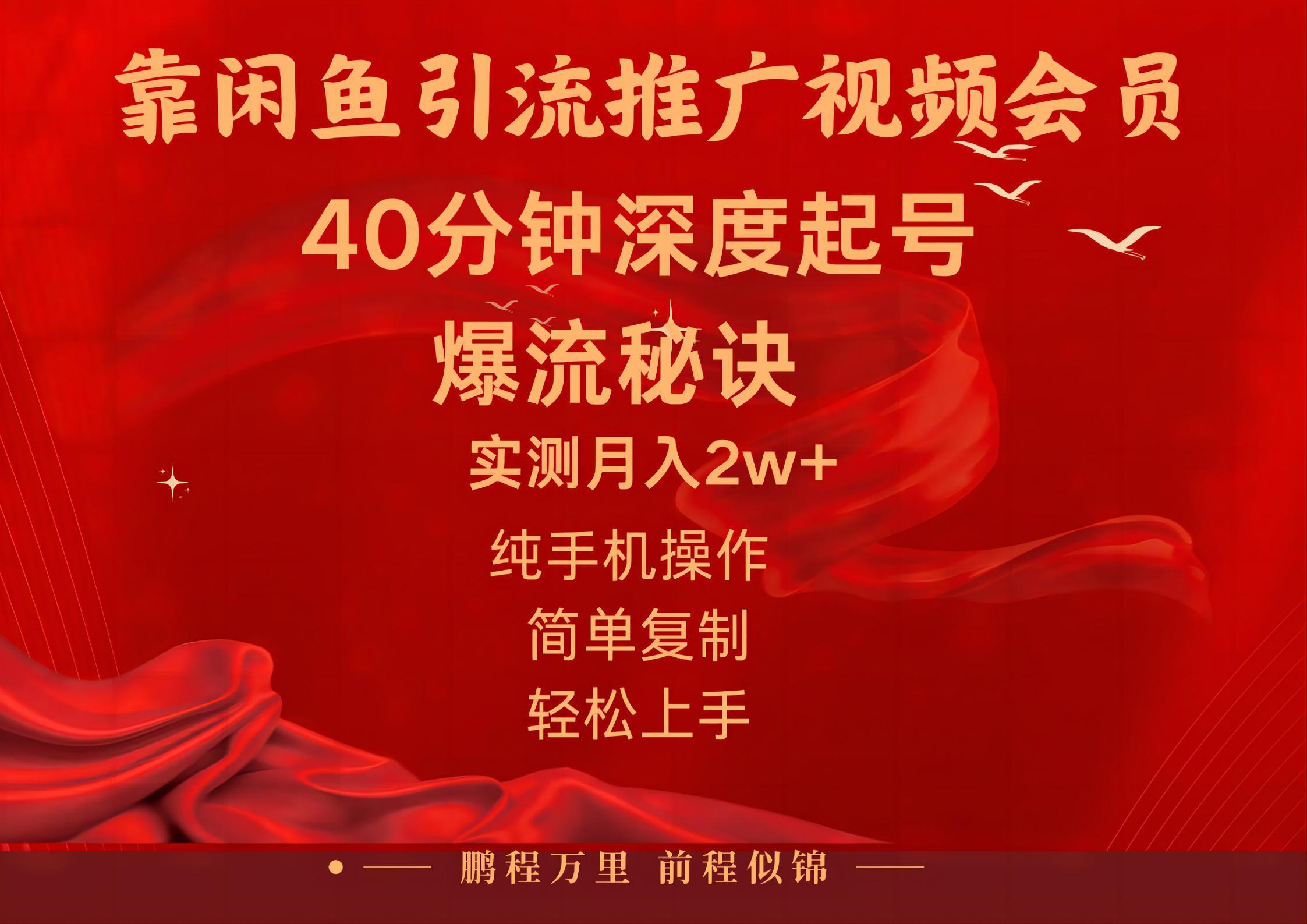 闲鱼暴力引流推广视频会员，能做到日入2W+，操作简单-小毅网创