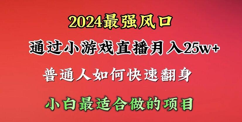 (10020期)2024年最强风口，通过小游戏直播月入25w+单日收益5000+小白最适合做的项目 - 小毅网创-小毅网创