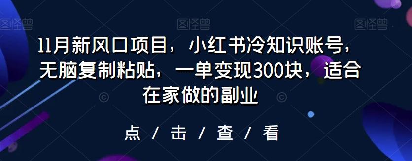 11月新风口项目，小红书冷知识账号，无脑复制粘贴，一单变现300块，适合在家做的副业 - 小毅网创-小毅网创