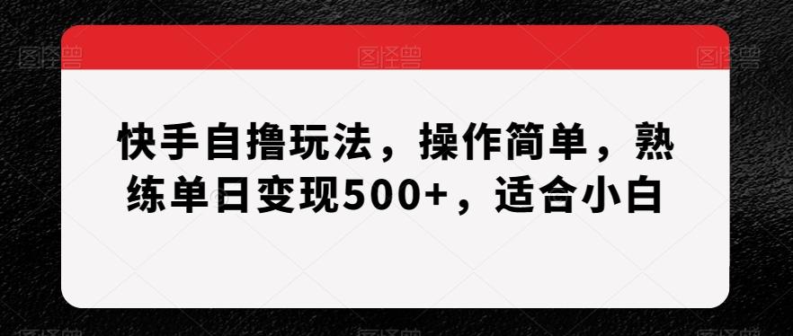 快手自撸玩法，操作简单，熟练单日变现500+，适合小白【揭秘】-小毅网创