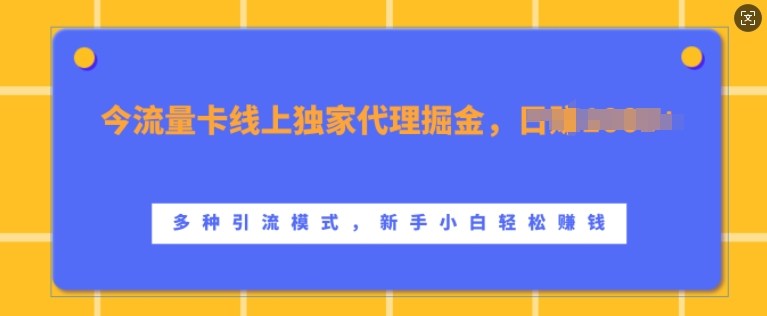 流量卡线上独家代理掘金，日入1k+ ，多种引流模式，新手小白轻松上手【揭秘】 - 小毅网创-小毅网创