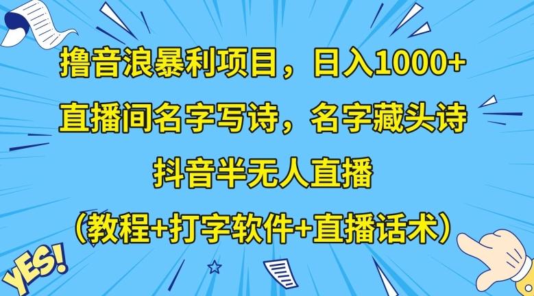 撸音浪暴利项目，日入1000+，直播间名字写诗，名字藏头诗，抖音半无人直播（教程+打字软件+直播话术）【揭秘】-小毅网创
