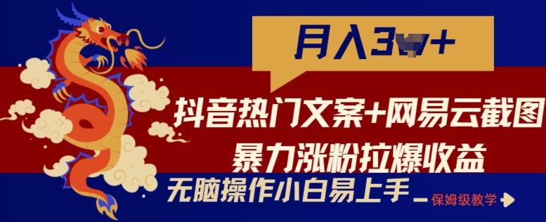 抖音热门文案+网易云截图暴力涨粉拉爆收益玩法，小白无脑操作，简单易上手【揭秘】 - 小毅网创-小毅网创