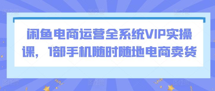 闲鱼电商运营全系统VIP实操课，1部手机随时随地电商卖货 - 小毅网创-小毅网创
